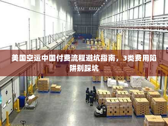 美国空运中国付费流程避坑指南，3类费用陷阱别踩坑