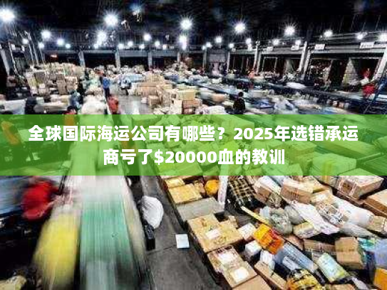 全球国际海运公司有哪些？2025年选错承运商亏了$20000血的教训