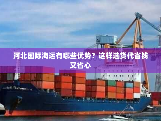 河北国际海运有哪些优势？这样选货代省钱又省心