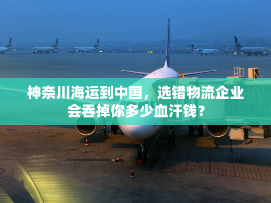 神奈川海运到中国，选错物流企业会吞掉你多少血汗钱？