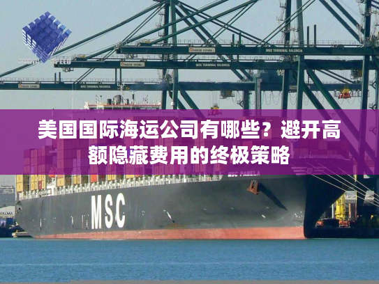 美国国际海运公司有哪些？避开高额隐藏费用的终极策略