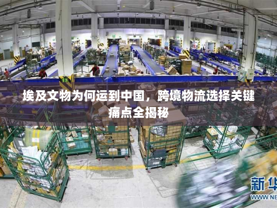 埃及文物为何运到中国,跨境物流选择关键痛点全揭秘 埃及文物为何运到中国,跨境物流选择关键痛点全揭秘