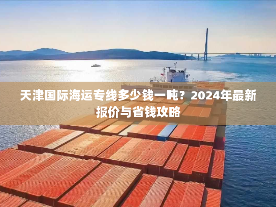 天津国际海运专线多少钱一吨？2024年最新报价与省钱攻略