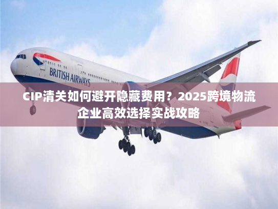 CIP清关如何避开隐藏费用？2025跨境物流企业高效选择实战攻略