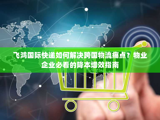 飞鸿国际快递如何解决跨国物流痛点？物业企业必看的降本增效指南