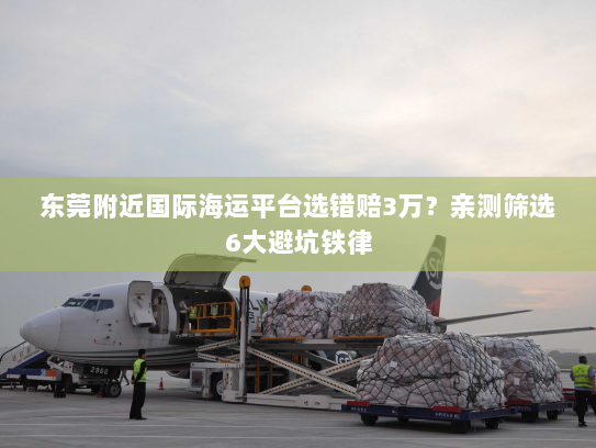 东莞附近国际海运平台选错赔3万?亲测筛选6大避坑铁律 东莞附近国际海运平台选错赔3万?亲测筛选6大避坑铁律