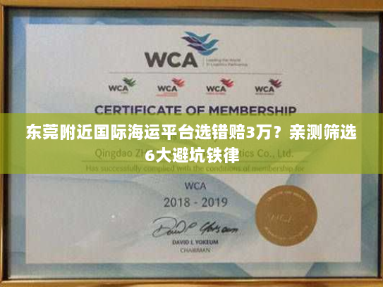 东莞附近国际海运平台选错赔3万?亲测筛选6大避坑铁律 东莞附近国际海运平台选错赔3万?亲测筛选6大避坑铁律