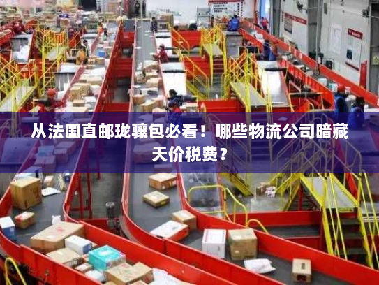 从法国直邮珑骧包必看！哪些物流公司暗藏天价税费？