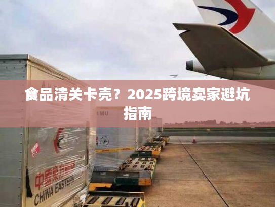 食品清关卡壳?2025跨境卖家避坑指南 食品清关卡壳?2025跨境卖家避坑指南