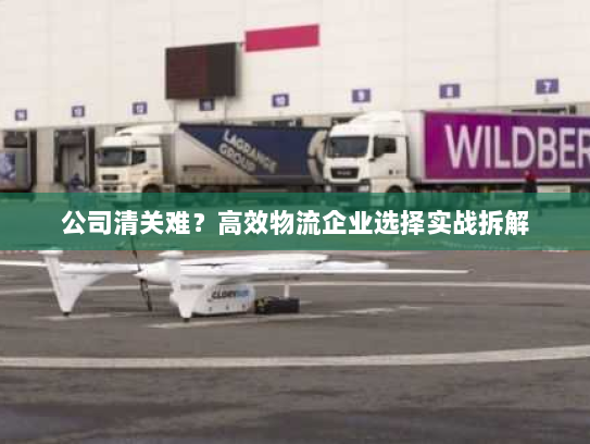 公司清关难?高效物流企业选择实战拆解 公司清关难?高效物流企业选择实战拆解