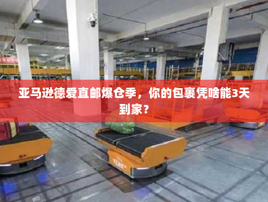亚马逊德爱直邮爆仓季,你的包裹凭啥能3天到家? 亚马逊德爱直邮爆仓季,你的包裹凭啥能3天到家?
