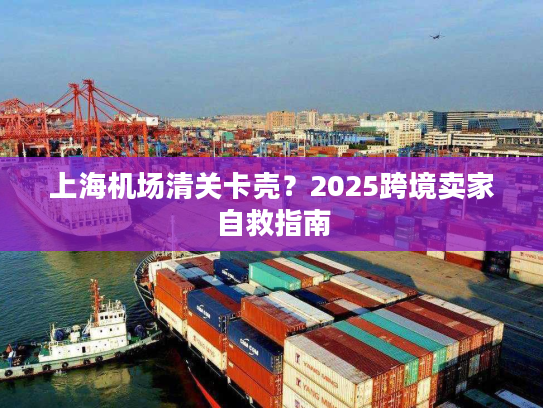 上海机场清关卡壳?2025跨境卖家自救指南 上海机场清关卡壳?2025跨境卖家自救指南