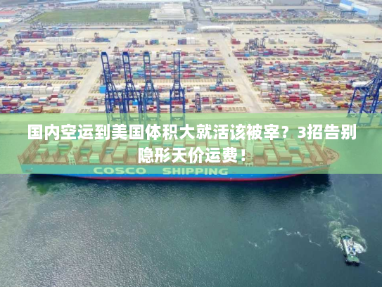 国内空运到美国体积大就活该被宰?3招告别隐形天价运费! 国内空运到美国体积大就活该被宰?3招告别隐形天价运费!