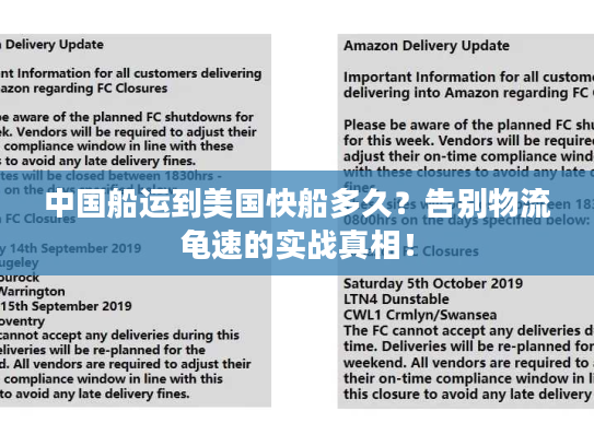中国船运到美国快船多久？告别物流龟速的实战真相！