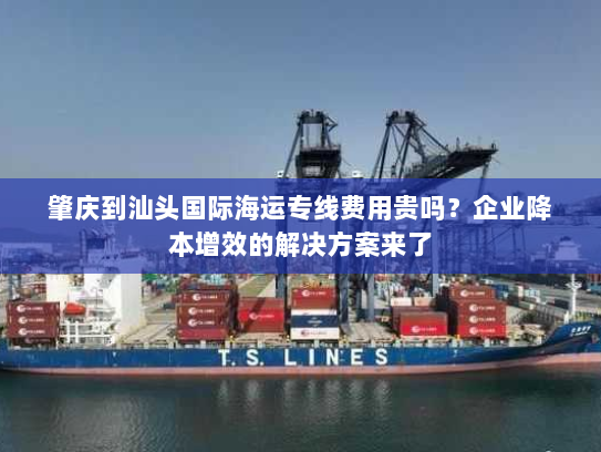 肇庆到汕头国际海运专线费用贵吗？企业降本增效的解决方案来了