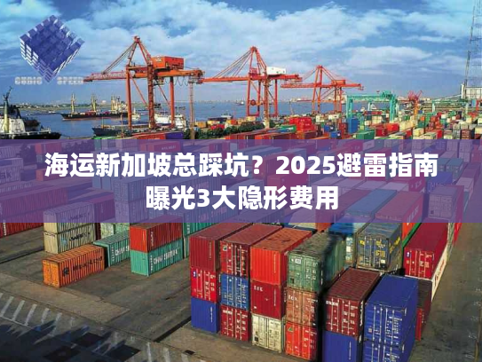海运新加坡总踩坑？2025避雷指南曝光3大隐形费用