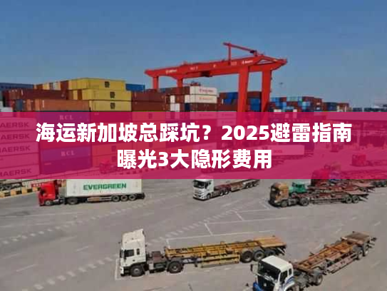 海运新加坡总踩坑？2025避雷指南曝光3大隐形费用
