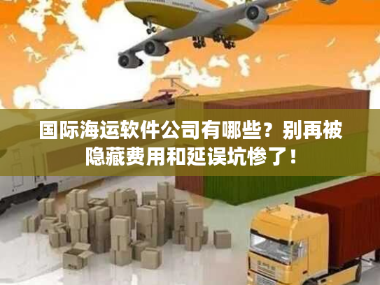 国际海运软件公司有哪些？别再被隐藏费用和延误坑惨了！