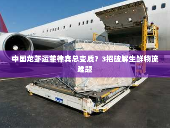 中国龙虾运菲律宾总变质?3招破解生鲜物流难题 中国龙虾运菲律宾总变质?3招破解生鲜物流难题