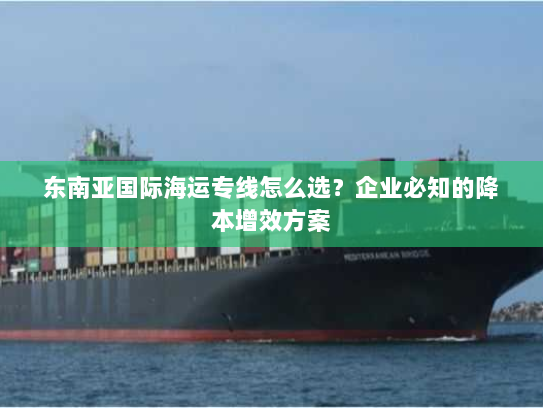 东南亚国际海运专线怎么选？企业必知的降本增效方案