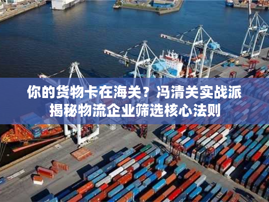 你的货物卡在海关？冯清关实战派揭秘物流企业筛选核心法则