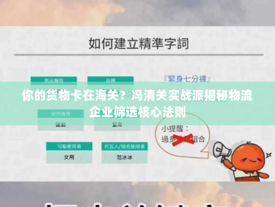 你的货物卡在海关？冯清关实战派揭秘物流企业筛选核心法则