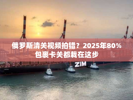俄罗斯清关视频拍错？2025年80%包裹卡关都栽在这步