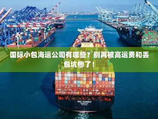 国际小包海运公司有哪些？别再被高运费和丢包坑惨了！
