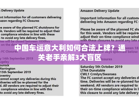 中国车运意大利如何合法上牌？通关老手亲解3大盲区
