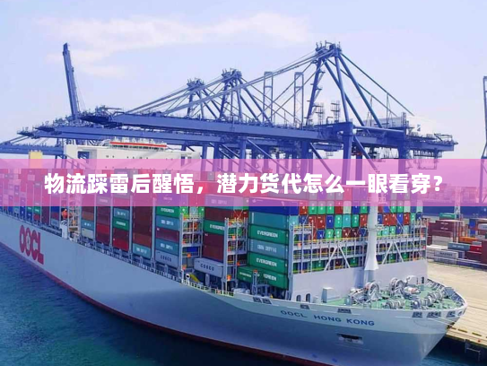物流踩雷后醒悟,潜力货代怎么一眼看穿? 物流踩雷后醒悟,潜力货代怎么一眼看穿?