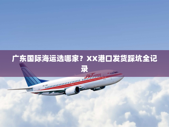 广东国际海运选哪家？XX港口发货踩坑全记录