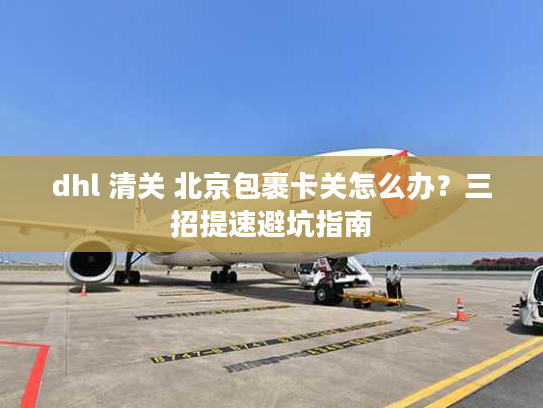 dhl 清关 北京包裹卡关怎么办？三招提速避坑指南