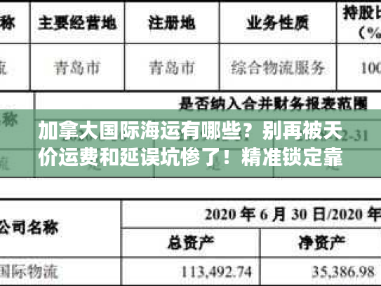 加拿大国际海运有哪些?别再被天价运费和延误坑惨了!精准锁定靠谱伙伴的实战指南 加拿大国际海运有哪些?别再被天价运费和延误坑惨了!精准锁定靠谱伙伴的实战指南