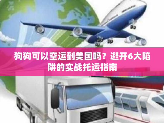 狗狗可以空运到美国吗？避开6大陷阱的实战托运指南