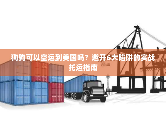 狗狗可以空运到美国吗？避开6大陷阱的实战托运指南