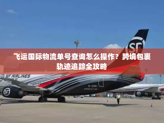 飞运国际物流单号查询怎么操作?跨境包裹轨迹追踪全攻略 飞运国际物流单号查询怎么操作?跨境包裹轨迹追踪全攻略