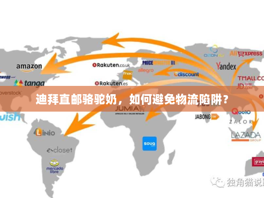 迪拜直邮骆驼奶,如何避免物流陷阱? 迪拜直邮骆驼奶,如何避免物流陷阱?