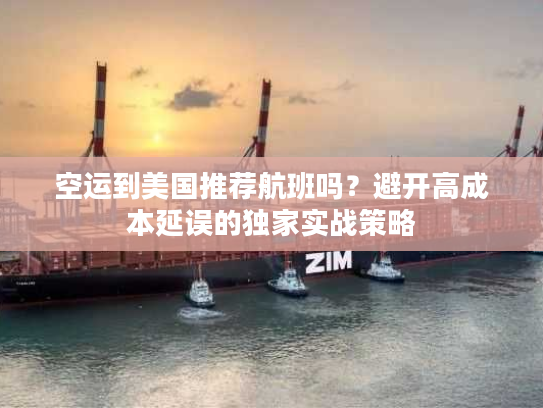 空运到美国推荐航班吗？避开高成本延误的独家实战策略