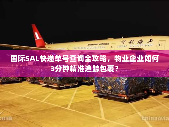 国际SAL快递单号查询全攻略,物业企业如何3分钟精准追踪包裹? 国际SAL快递单号查询全攻略,物业企业如何3分钟精准追踪包裹?