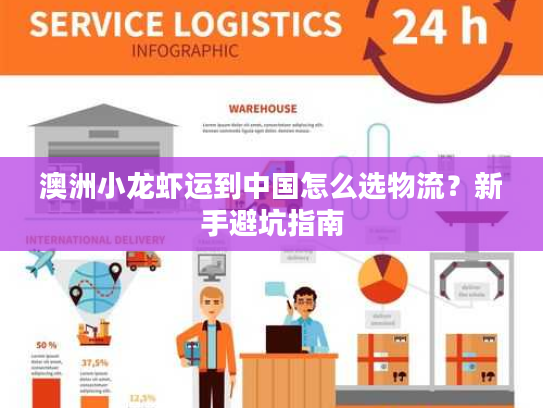 澳洲小龙虾运到中国怎么选物流？新手避坑指南