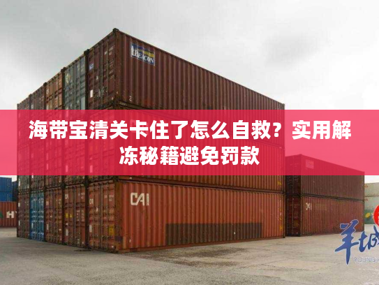 海带宝清关卡住了怎么自救？实用解冻秘籍避免罚款