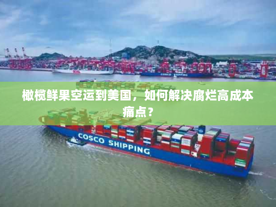 橄榄鲜果空运到美国,如何解决腐烂高成本痛点? 橄榄鲜果空运到美国,如何解决腐烂高成本痛点?