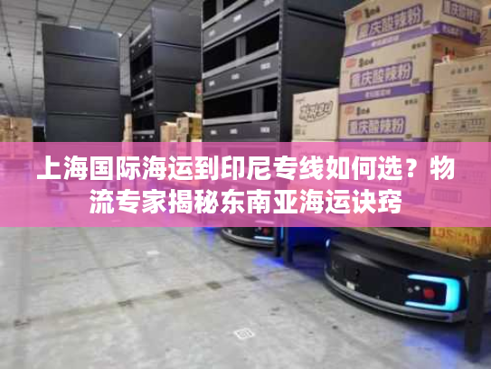 上海国际海运到印尼专线如何选？物流专家揭秘东南亚海运诀窍