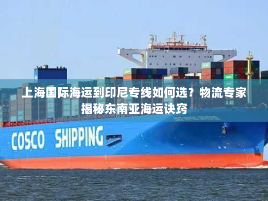 上海国际海运到印尼专线如何选？物流专家揭秘东南亚海运诀窍