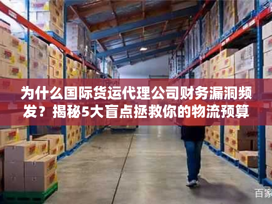 为什么国际货运代理公司财务漏洞频发?揭秘5大盲点拯救你的物流预算! 为什么国际货运代理公司财务漏洞频发?揭秘5大盲点拯救你的物流预算!