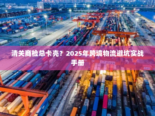清关商检总卡壳？2025年跨境物流避坑实战手册
