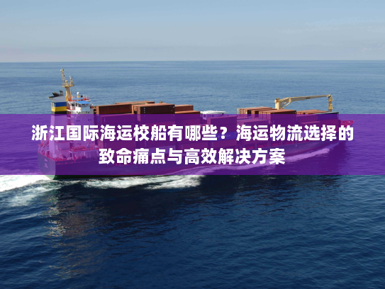 浙江国际海运校船有哪些？海运物流选择的致命痛点与高效解决方案