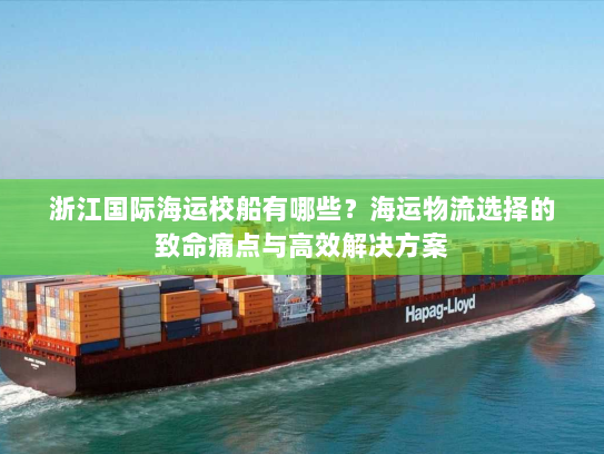 浙江国际海运校船有哪些？海运物流选择的致命痛点与高效解决方案