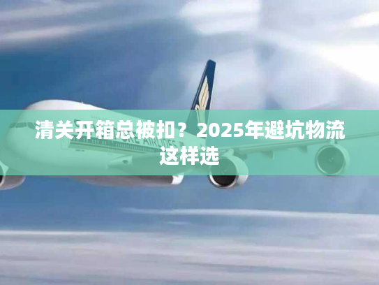 清关开箱总被扣？2025年避坑物流这样选