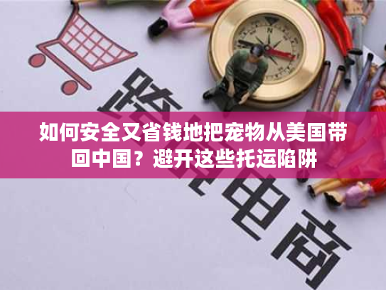 如何安全又省钱地把宠物从美国带回中国？避开这些托运陷阱